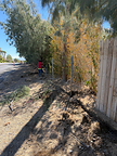 Fencing Specialist Project