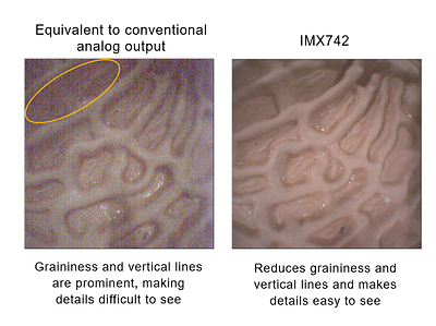 Comparison of output images Comparison of output images