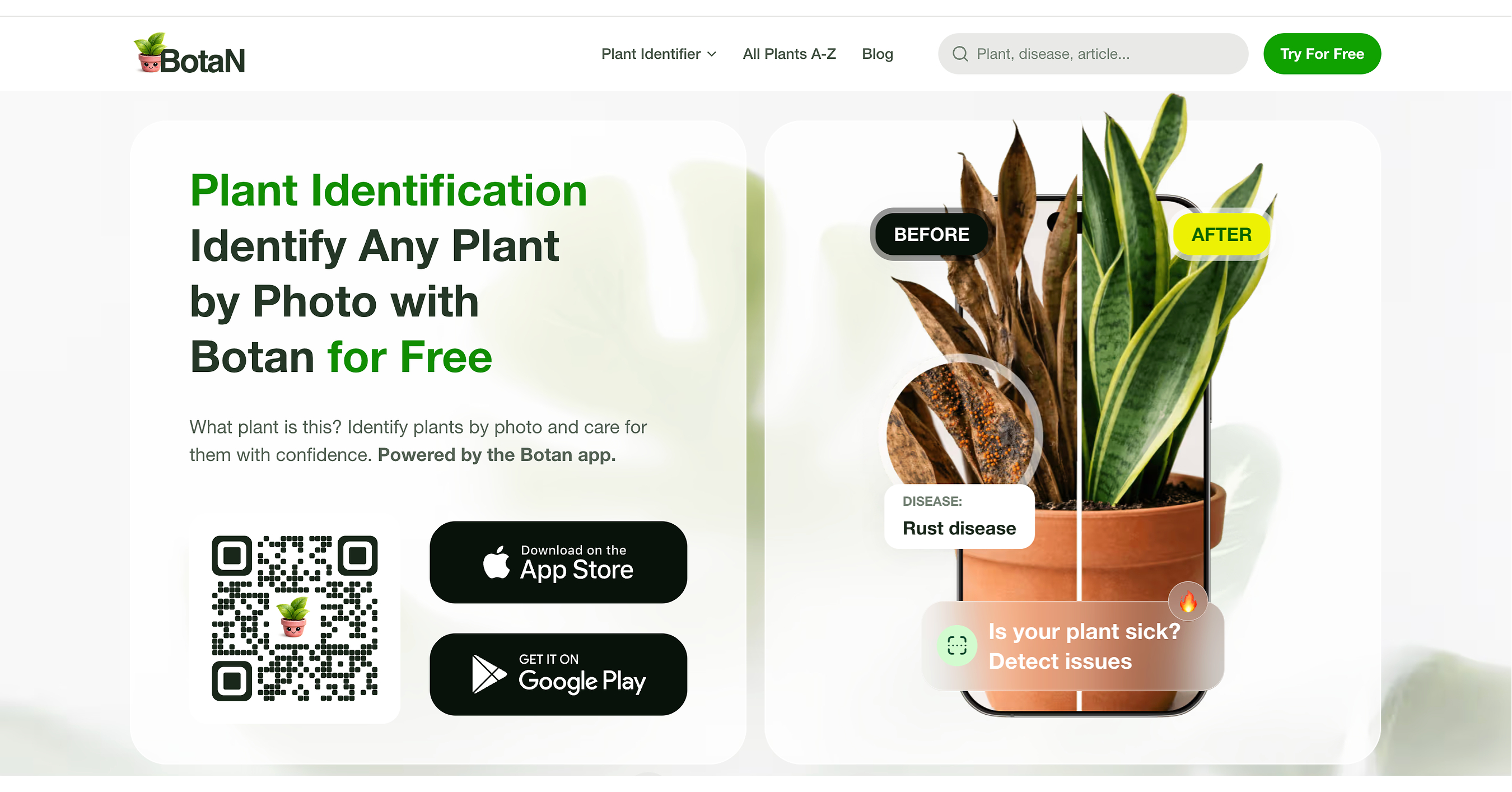 Need to Identify a Plant? Botan App Launches Plant Identifier Website
