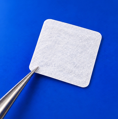 Clinical Update from the Ongoing Phase 2 Trial of PRV111, the First Non-Surgical Therapy in Development for Early-Stage Oral Cancer