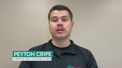 In HelloNation, Carpet Cleaning &amp; Restoration Expert Peyton Cripe Shares Warning Signs of Hidden Water Damage
