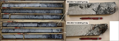 Figure 3. Hole QVD-475: Core samples from interval 390.0 to 395.0 meters.High-grade mineralization is prominently featured in specific sub-intervals from within the main interval.