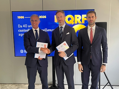 Temu and Italy's ICQRF Partner to Strengthen Protection of Geographical Indications Online