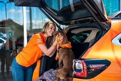 According to a new Subaru of America survey, conducted by Talker Research, about three in four respondents (73%) said they are more likely to take a road trip than fly, specifically so they can bring their pet along. More than one in four (26%) prioritize cargo space for crates, carriers, beds, or gear. Among hybrid and EV drivers, that climbs to 35%.
