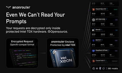 AnonRouter Takes on OpenRouter With a Private, Open-Source Alternative That Can't See Your Prompts