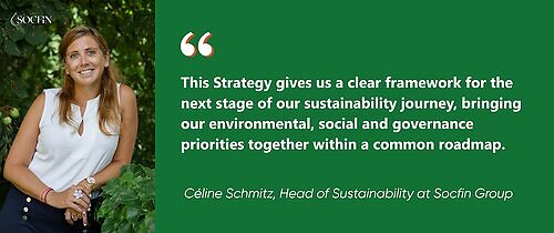 A quote from Céline Schmitz, Head of Sustainability at Socfin Group This image opens in the lightbox