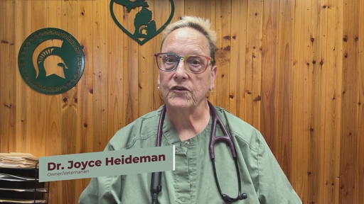 Veterinary Expert Dr. Joyce Heideman of Lansing Shares Tips for Senior Dog Care in HelloNation Feature