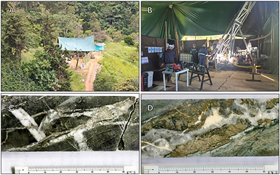 Figure 2 Yarumalito Project 2026 drilling program. A & B: drill rig set up at Yarumalito Project. C: YAR-45 drill core from interval 189.0 to 190.5 m depth, grading 1.59 g/t Au, 0.19% Cu & 3.6 g/t Ag. D: YAR-45 drill core from interval 184.9 to 185.6 m depth, grading 1.07 g/t Au, 0.20% Cu & 8.8 g/t Ag.