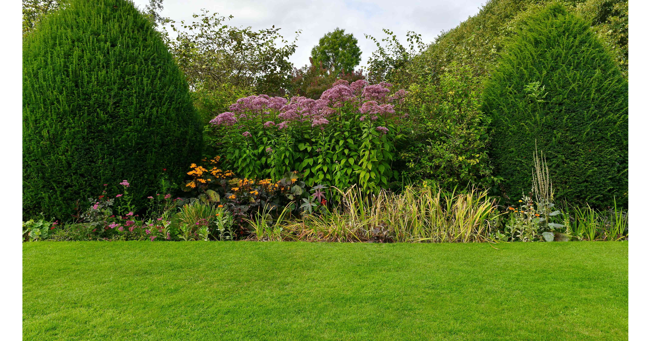 TopGrass Welcomes Perfect Ground Solutions Lawncare Ltd to the Family