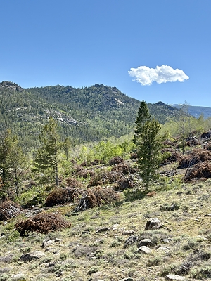 U.S. Department of Agriculture Proposes Eliminating the Roadless Rule