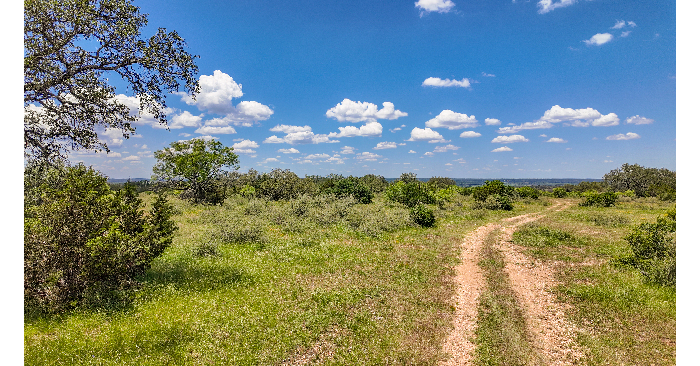 Hill Country Land Prices Reach Record High as Sawmill Ridge Offers Large Acreage Bargains Near San Saba