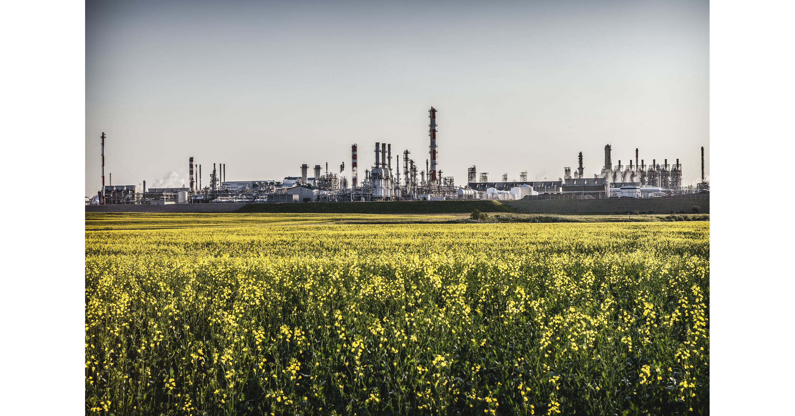 Borouge International announces new Responsible Care® and ISO certifications in Canada
