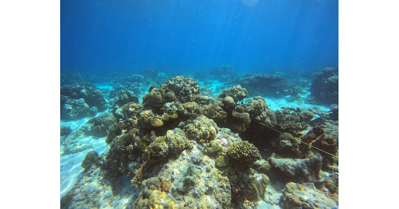 Where Science Meets Local Wisdom: Safeguarding Indonesia's Coral Reefs