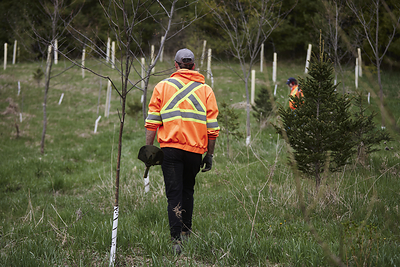 United Nations Report Highlights Forests Canada's Successes in Ontario's Greenbelt