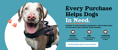 Joyride Dogs Surpasses $300,000 in Rescue Donations, Setting Sights on $1 Million Goal