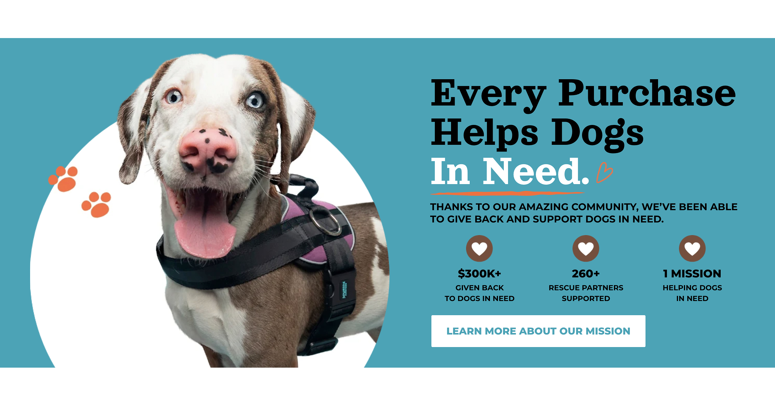 Joyride Dogs Surpasses $300,000 in Rescue Donations, Setting Sights on $1 Million Goal