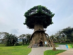 A Cool Family Escape in Puncak: Discover Enchanting Valley