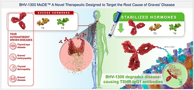 BHV-1300 MoDE™ A Novel Therapeutic Designed to Target the Root Cause of Graves' Disease BHV-1300 MoDE™ A Novel Therapeutic Designed to Target the Root Cause of Graves' Disease