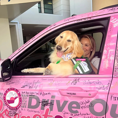 Drive Out Breast Cancer Drive Out Breast Cancer