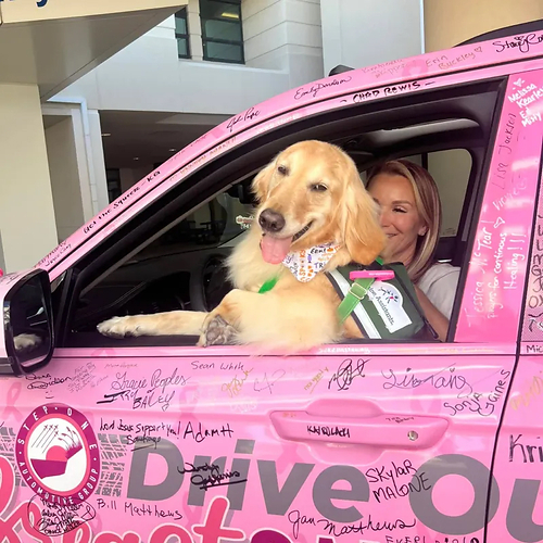 Drive Out Breast Cancer