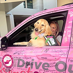 Drive Out Breast Cancer