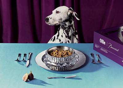 Introducing the Ollieday Crystal Dog Bowl. The name says it all — an exclusive holiday offering, featuring a Baccarat crystal bowl.