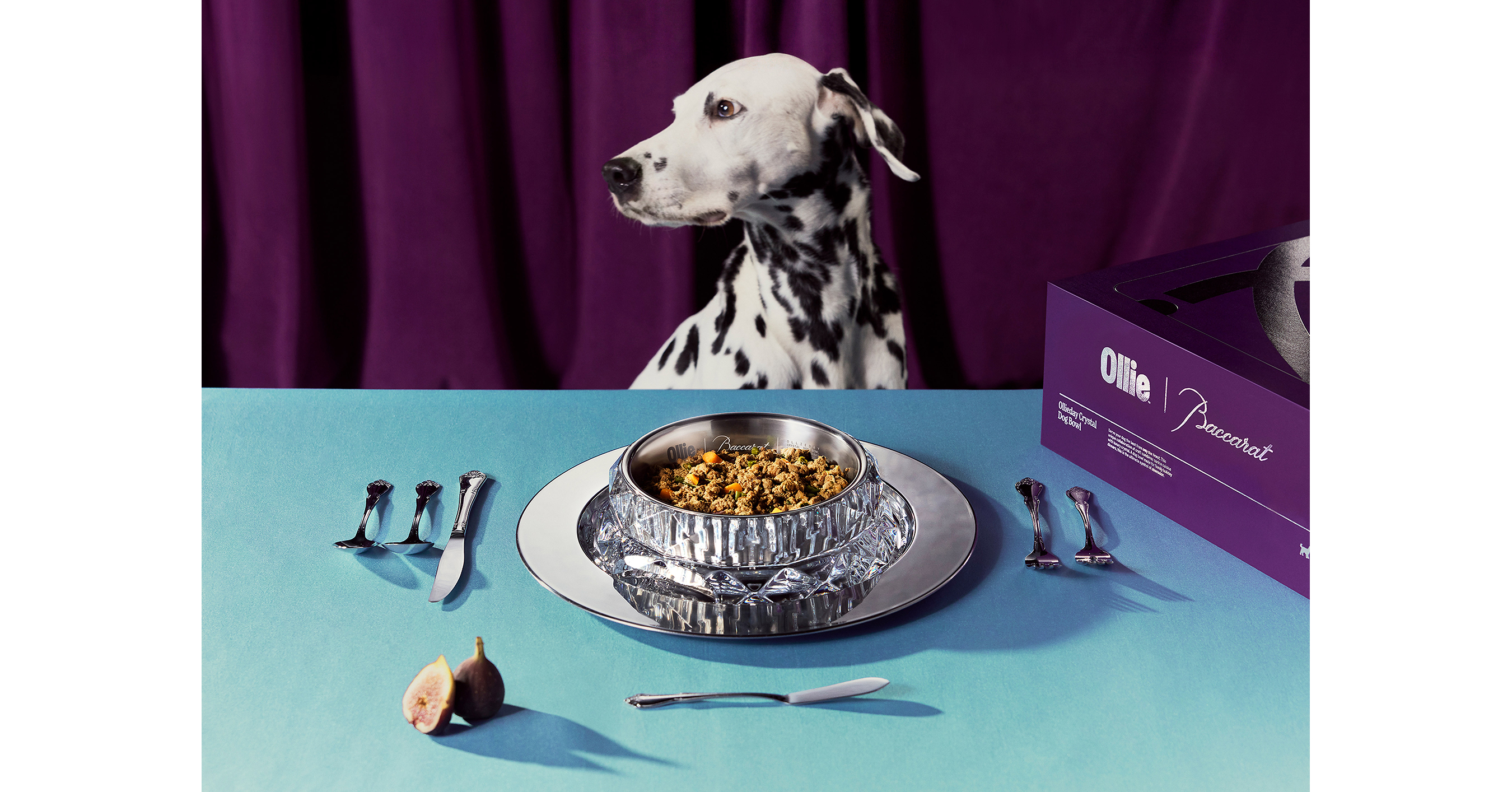 Ollie is Unleashing A Crystal Clear Way to Obsess Over Your Dog This Holiday Season, Featuring Crystal from Baccarat