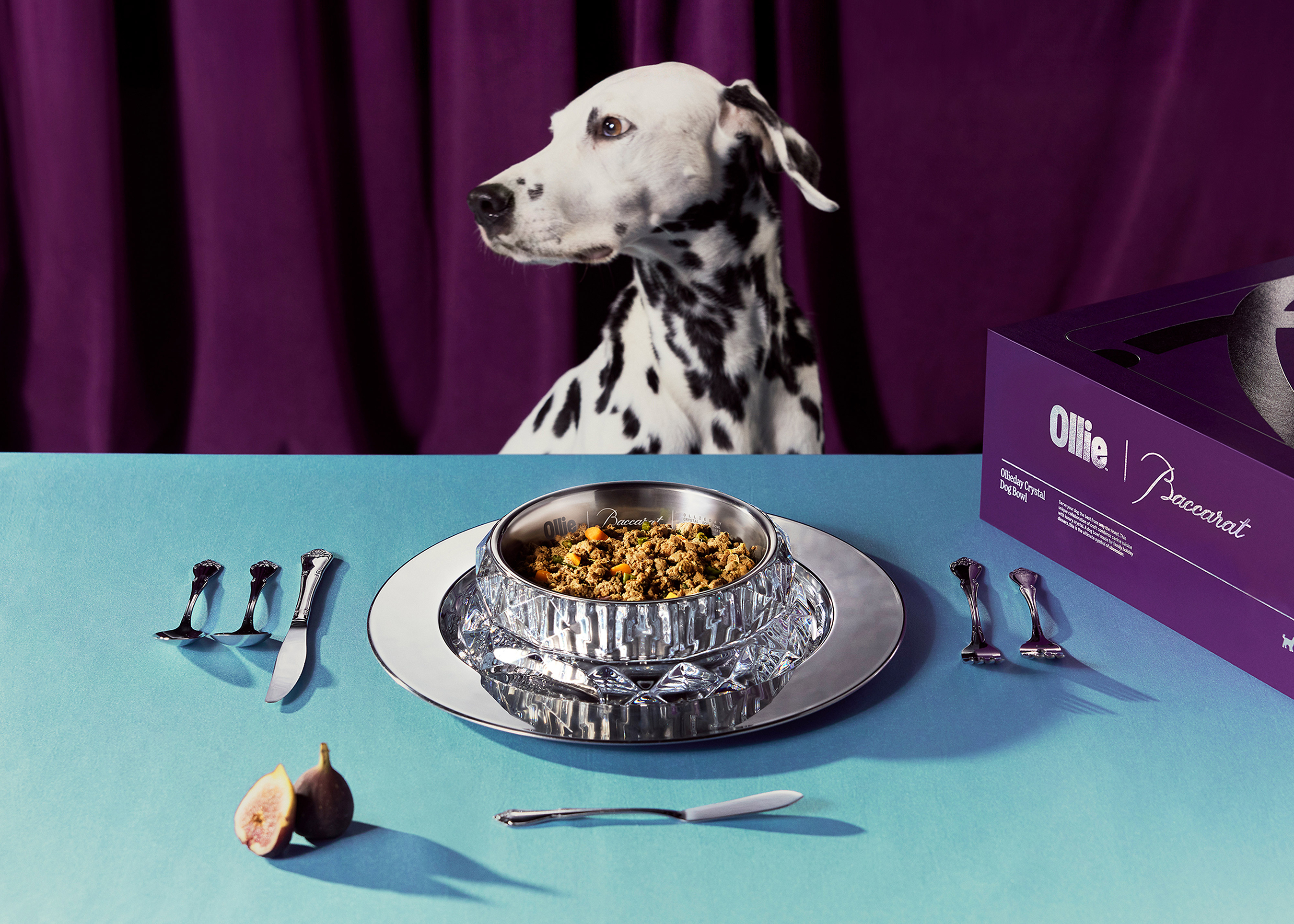 Ollie is Unleashing A Crystal Clear Way to Obsess Over Your Dog This Holiday Season, Featuring Crystal from Baccarat