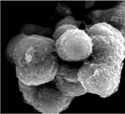 XBM USA and SiCAM Technologies Collaborate to Advance Next-Generation Silicon-Sulfur Battery Technology