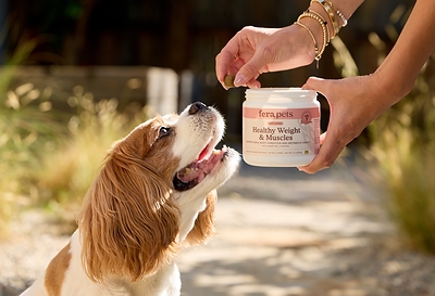 Fera Pets Debuts Healthy Weight &amp; Muscles Supplement to Support for Ideal Body Condition in Dogs