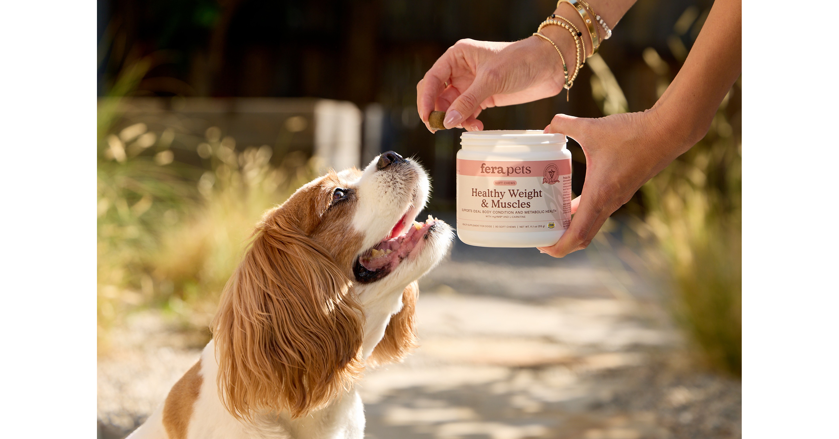 Fera Pets Debuts Healthy Weight & Muscles Supplement to Support for Ideal Body Condition in Dogs