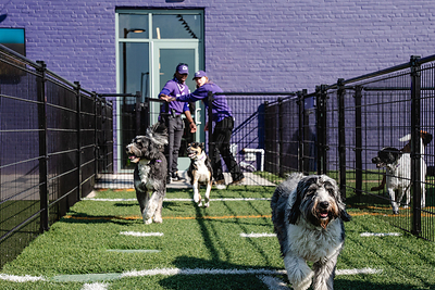 Skiptown, the modern, tech-enabled dog care franchise, is building on its established presence in Georgia as it looks to expand its footprint. With an existing location in Atlanta and a growing following among pet parents, Skiptown is seeking franchise owners to bring its all-in-one approach to more communities. For more information about Skiptown and its franchise opportunities, visit https://skiptown.io/franchising/ Skiptown, the modern, tech-enabled dog care franchise, is building on its established presence in Georgia as it looks to expand its footprint. With an existing location in Atlanta and a growing following among pet parents, Skiptown is seeking franchise owners to bring its all-in-one approach to more communities. For more information about Skiptown and its franchise opportunities, visit https://skiptown.io/franchising/