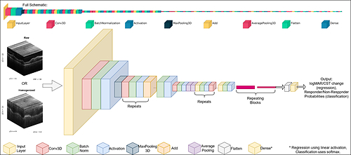 Architecture of the deep learning-based processing pipeline used in the study.