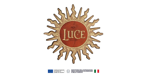 Tenuta Luce Concludes the 2026 Harvest in Montalcino