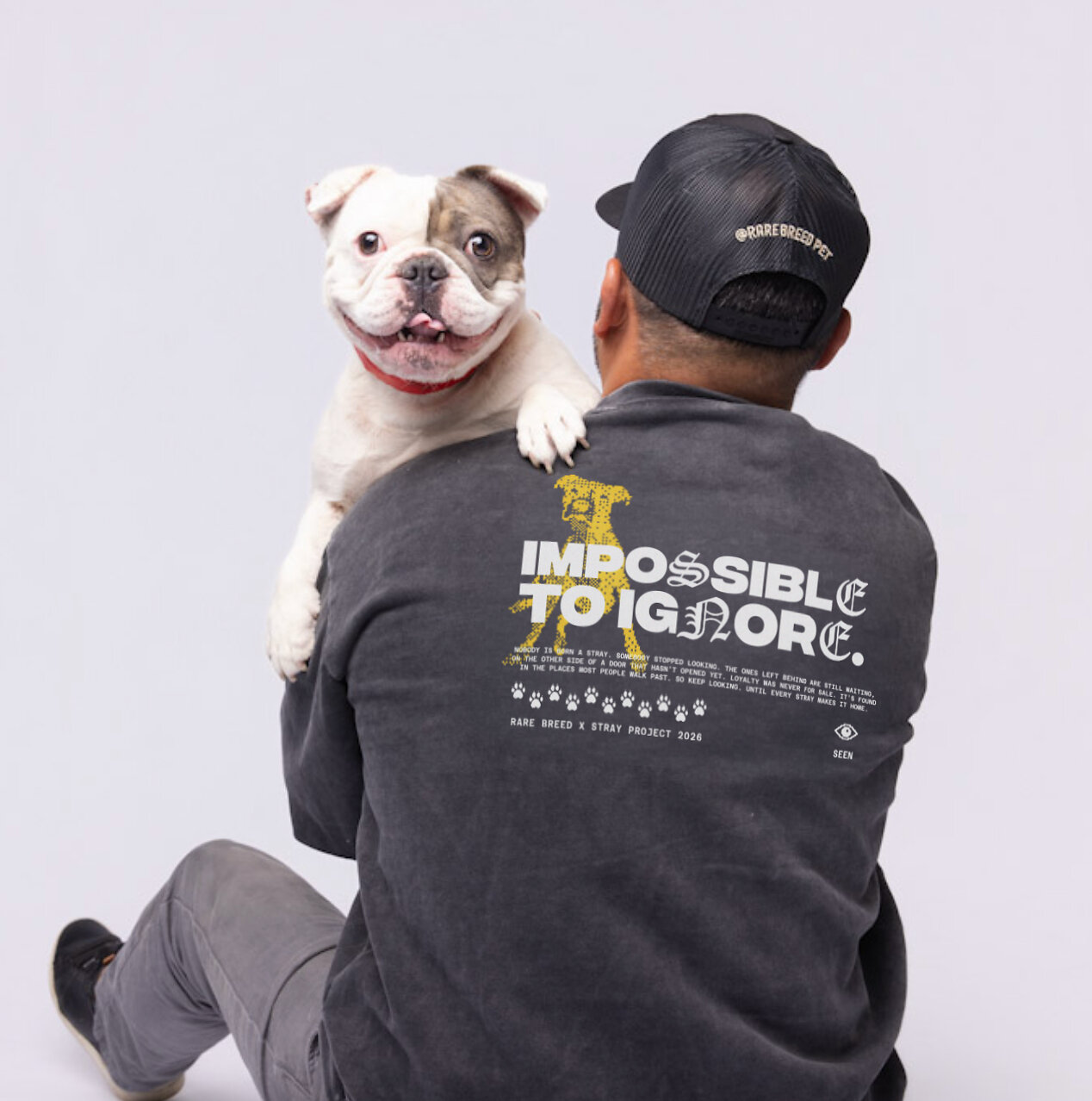 Rare Breed und Stray Project starten Kampagne zur Adoption von Tierheimhunden