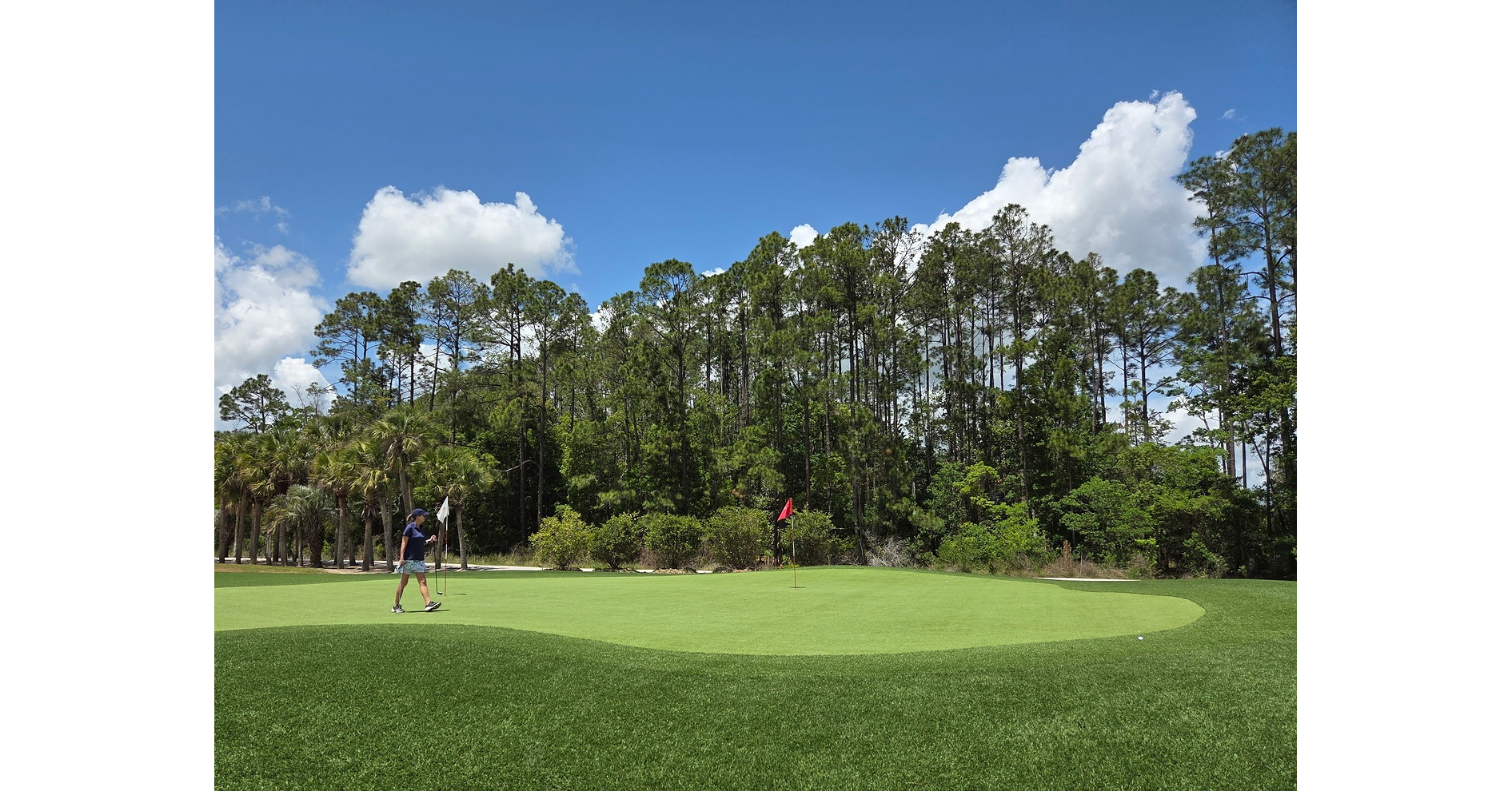 Turf Solutions Group Delivers State-of-the-Art Par 3 Golf Course and Driving Range at Pine Royale Golf Club