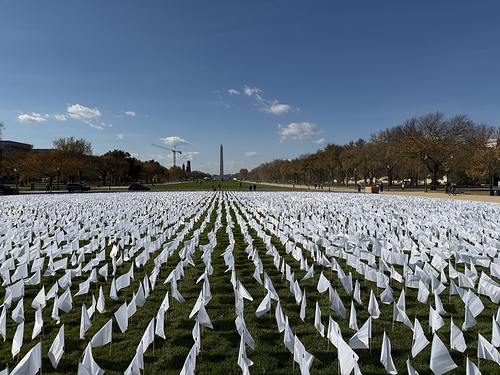 Flags on the National Mall for Lung Cancer Awareness Month Flags on the National Mall for Lung Cancer Awareness Month