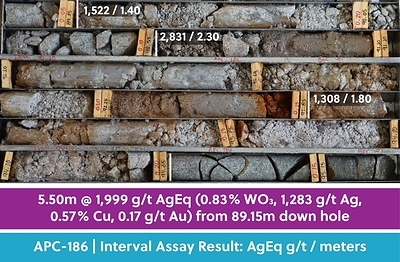 Figure 2: Drill Core Tray Photo from Hole APC-186 Highlighting the High-Grade Silver-Tungsten Mineralization in this Release