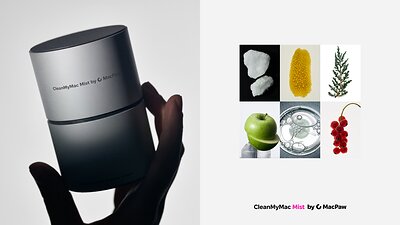 This image opens in the lightbox