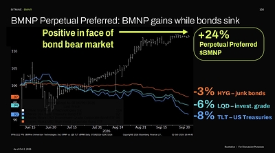 BMNP: Gains while bonds sink