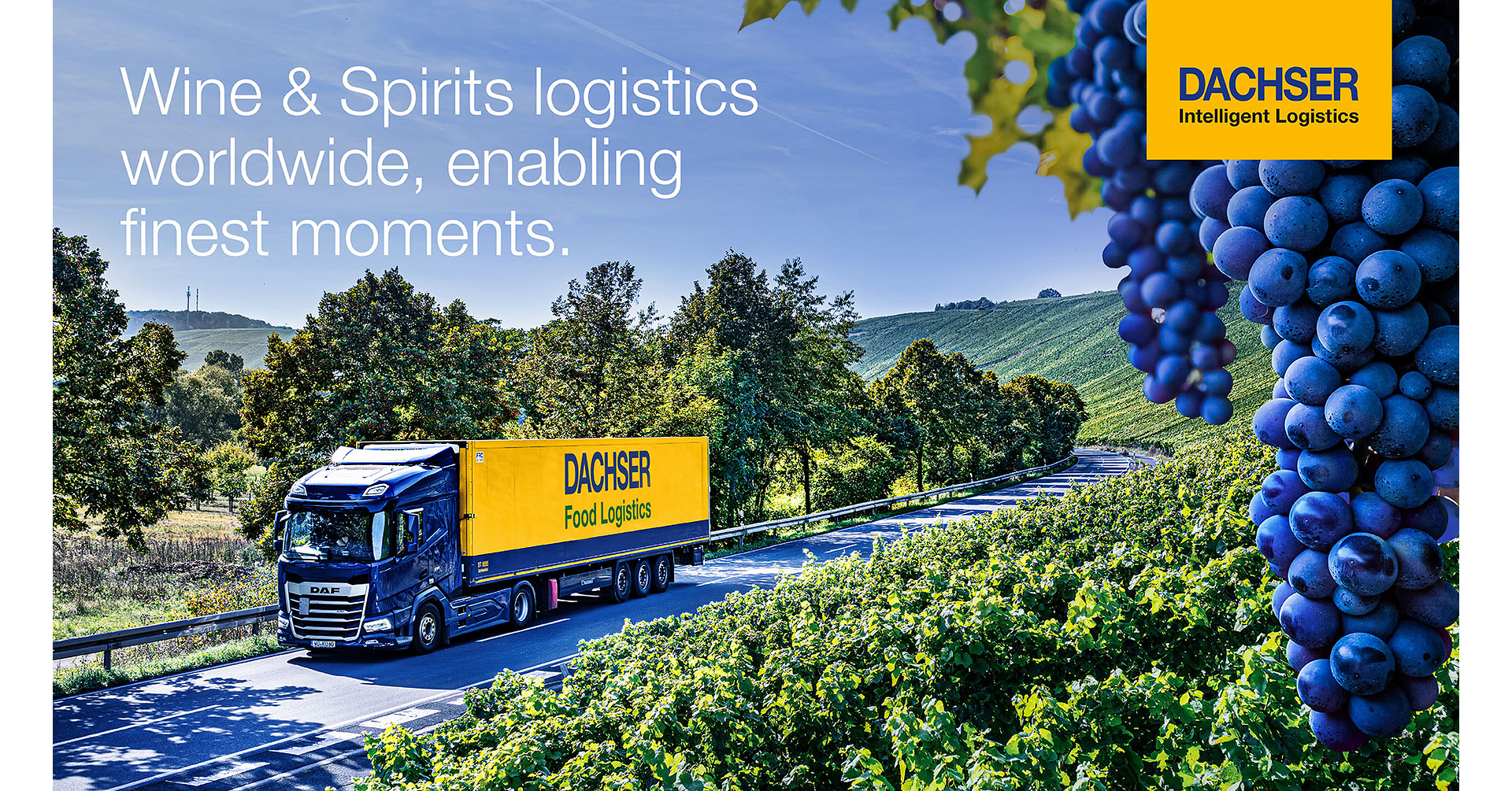 Computer Network Blueprint Dachser to showcase end-to-end wine and spirits logistics at ProWine ...