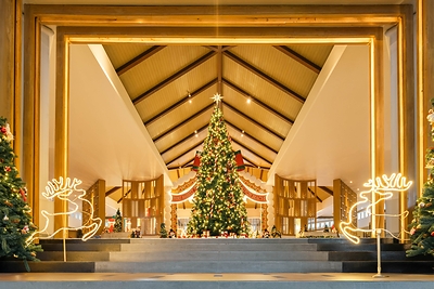 Discover a variety of seasonal experiences