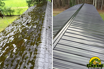 What's Living On Your Roof? Gator Metal Roofing Reveals The Strange Things Hiding Above Carolina Homes
