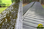 Gator Metal Roofing addresses vegetation growth on roofs with a metal roof solutions.