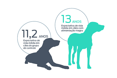 Os cães alimentados para se manterem magros apresentaram um aumento de 15% na mediana da expectativa de vida em comparação com os cães da raça labrador retriever do grupo controle. Os cães alimentados para se manterem magros apresentaram um aumento de 15% na mediana da expectativa de vida em comparação com os cães da raça labrador retriever do grupo controle.