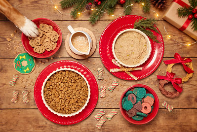Petco Holiday Collection 