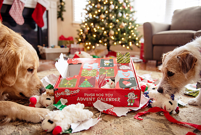 Petco Holiday Collection 2026 Lambchop Advent Calendar