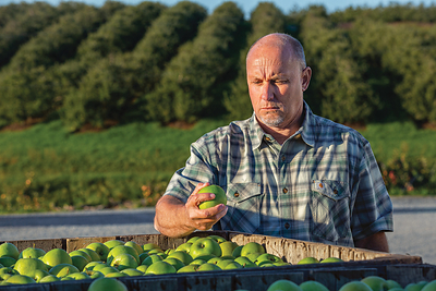 Farm-to-plate will support farmers by rescuing surplus food and purchasing local food directly from farmers for nearby food banks.