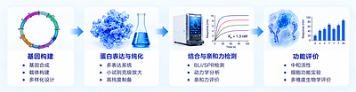 从规模化制造到AI驱动研发--擎科生物加速构建分子研发与智造闭环