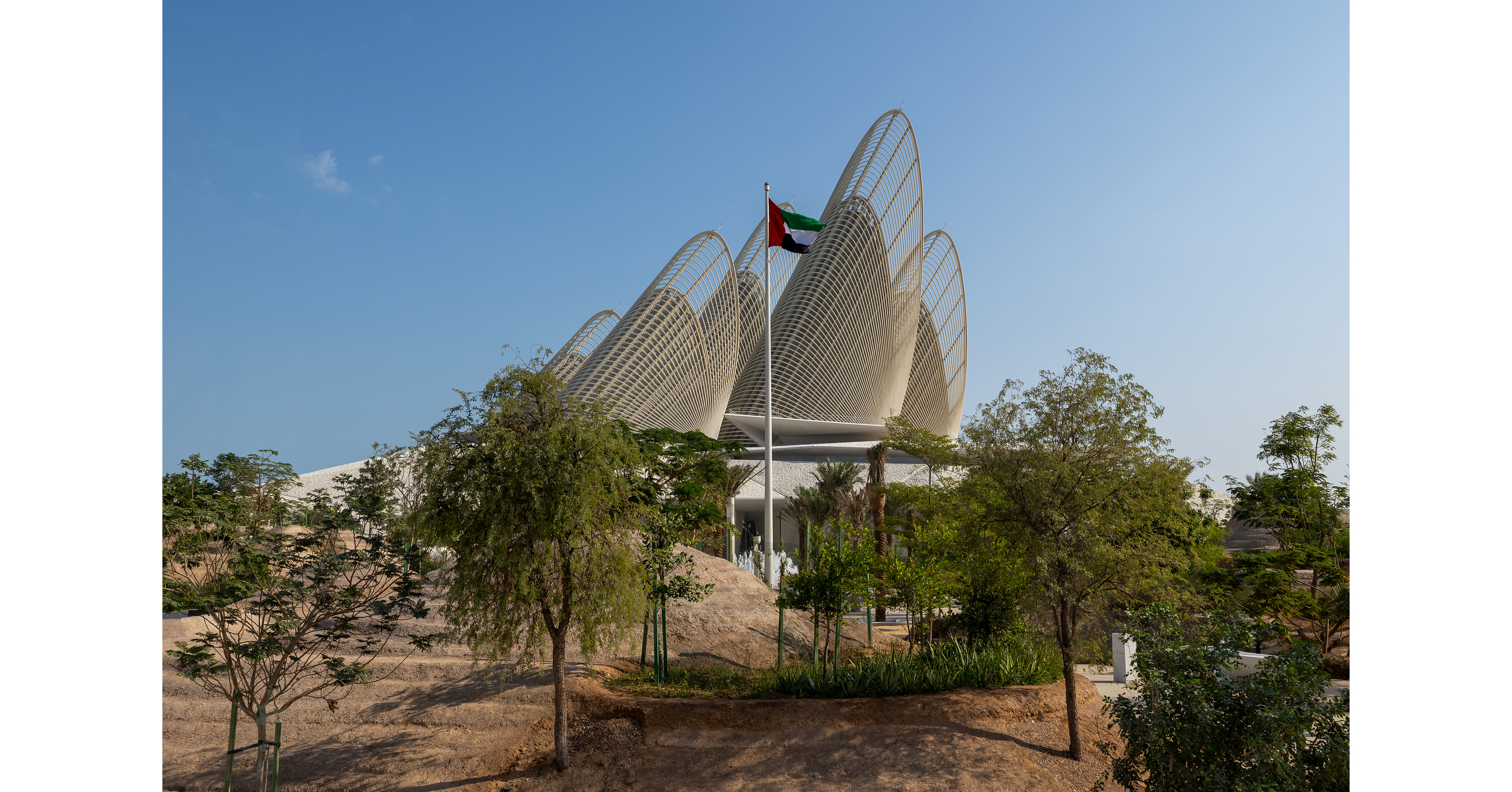 La première exposition temporaire du Musée national Zayed retrace 7 000 ans d'histoire du chameau